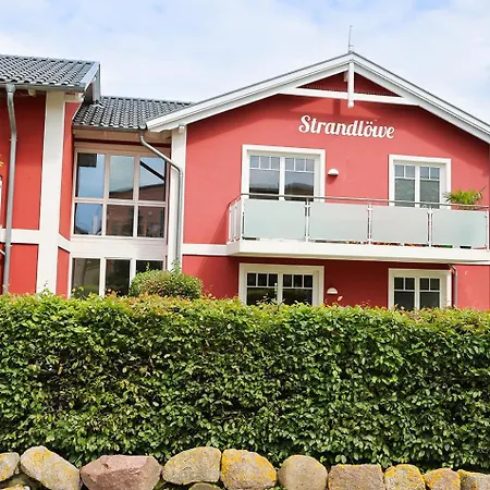 Strandloewe Ostsee Ostseebad Kühlungsborn