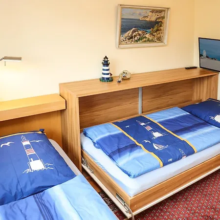 Strandlöwe Ostsee *